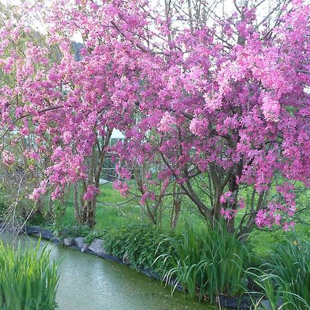 Gastehaus Zum Tulpenbaum Bed & Breakfast Turbenthal ภายนอก รูปภาพ