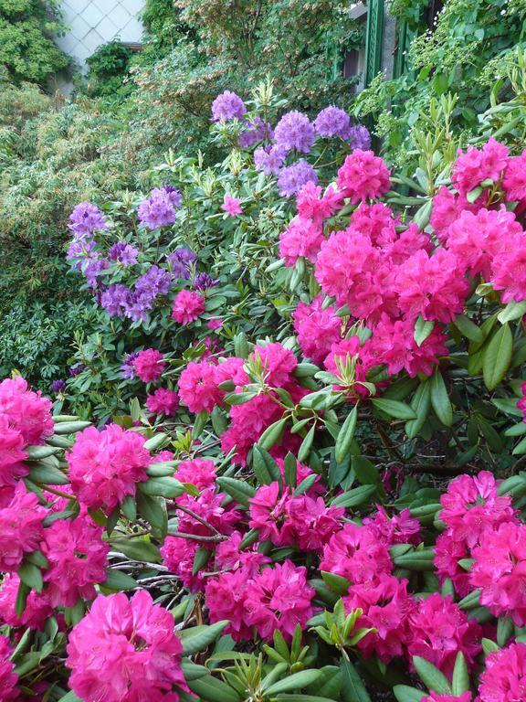 Gastehaus Zum Tulpenbaum Bed & Breakfast Turbenthal ภายนอก รูปภาพ
