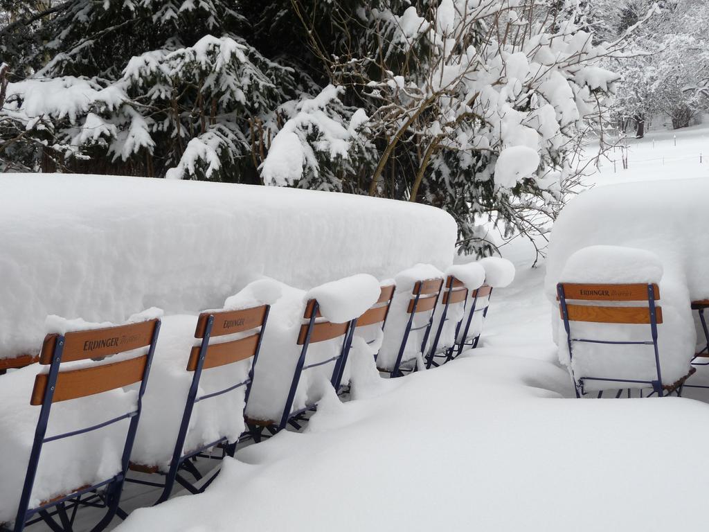 Gastehaus Zum Tulpenbaum Bed & Breakfast Turbenthal ภายนอก รูปภาพ