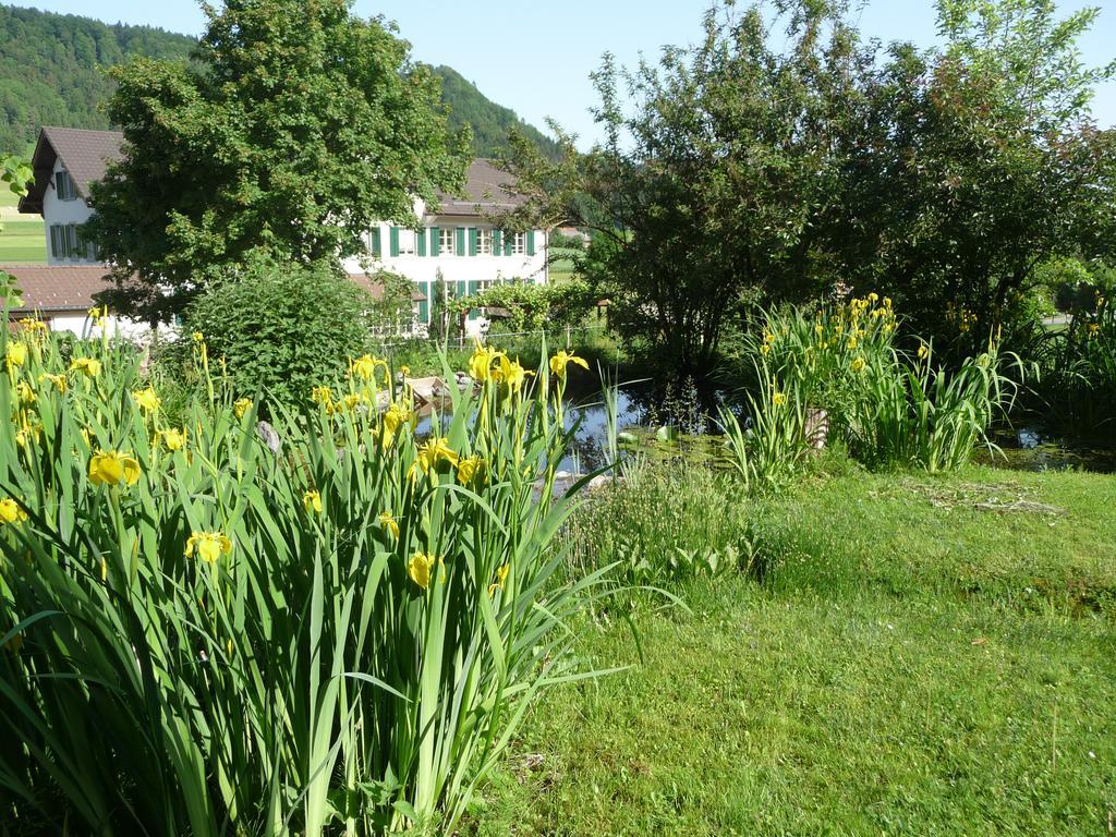 Gastehaus Zum Tulpenbaum Bed & Breakfast Turbenthal ภายนอก รูปภาพ