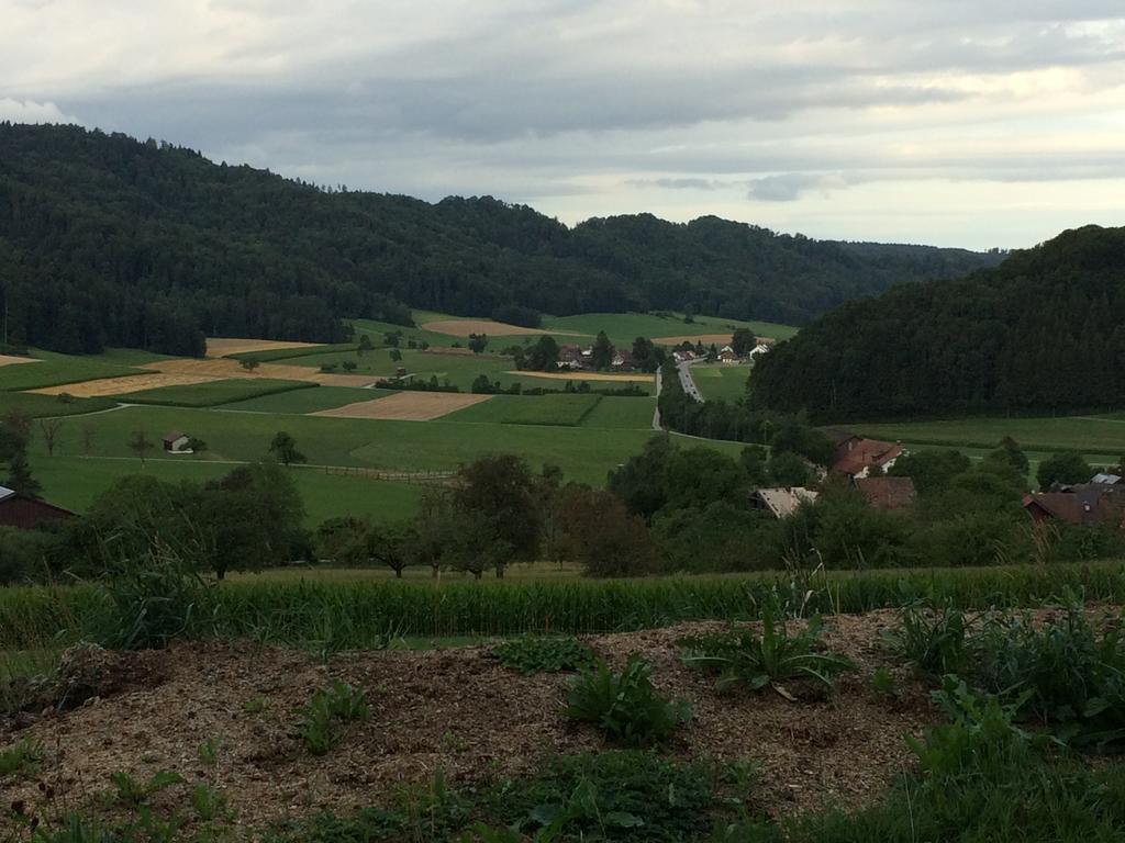 Gastehaus Zum Tulpenbaum Bed & Breakfast Turbenthal ภายนอก รูปภาพ